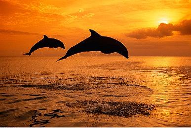 《吸血鬼：避世血族2》将于10月21日发售！